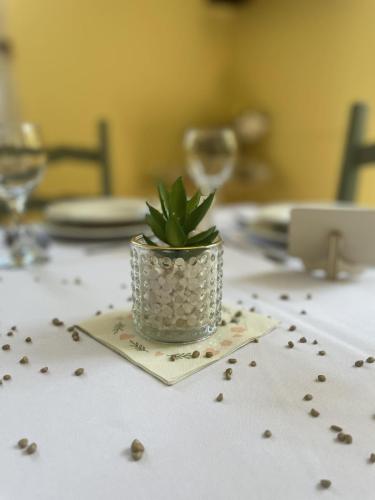 438246263 1788046441674989 1764195665881412919 n