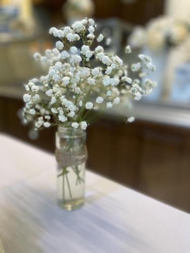 438293623 3781265528823192 3994763357774141346 n